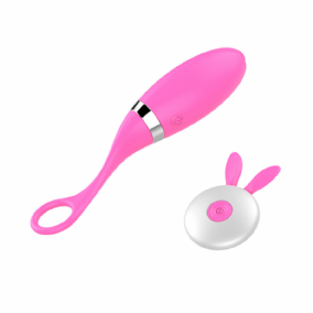 UZAKTAN KUMANDALI ŞARJLI TİTREŞİMLİ VİBRATÖR